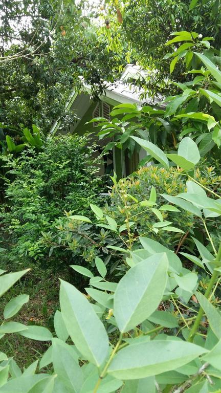 Hug Home Resort Prachinburi Dış mekan fotoğraf